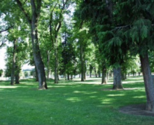 Image selected by project leader